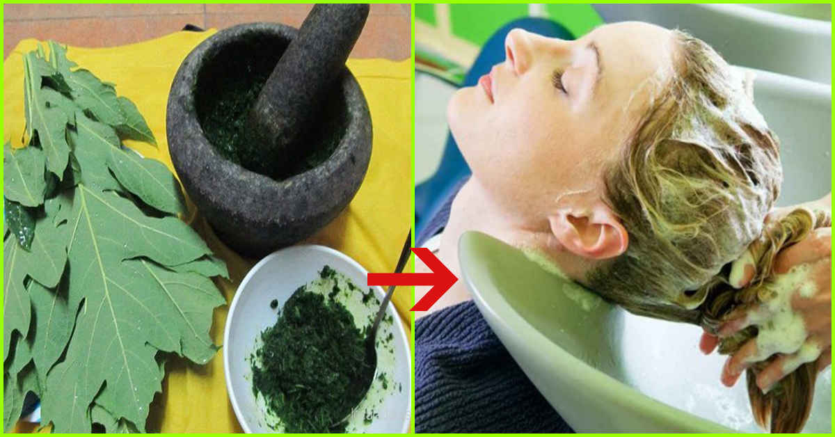 8 Fascinating Uses Of Papaya Leaf Juice For Glowing Skin 