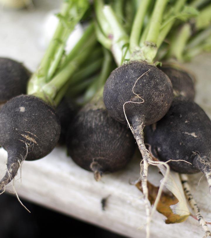 17 Amazing Benefits Of Black Radish For Skin, Hair, And Health