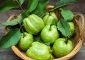 16 Useful Guava Leaves Benefits For Y...
