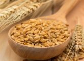 25 Best Benefits Of Barley (Jau) For Health, Skin, And Hair