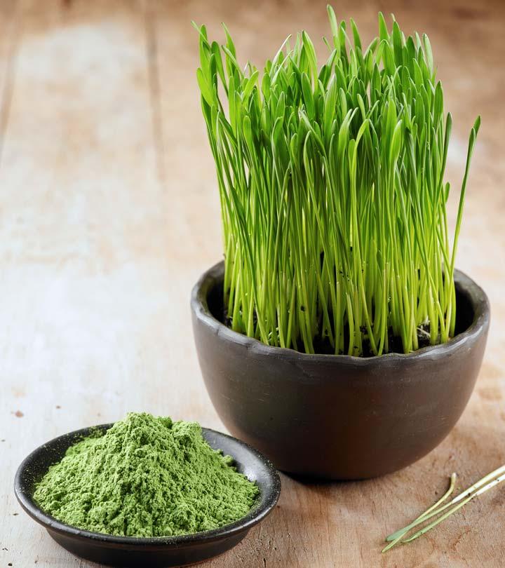 bol u zglobovima wheatgrass)