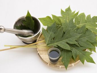 8 Fascinating Uses Of Papaya Leaf Juice For Glowing Skin And Well-being