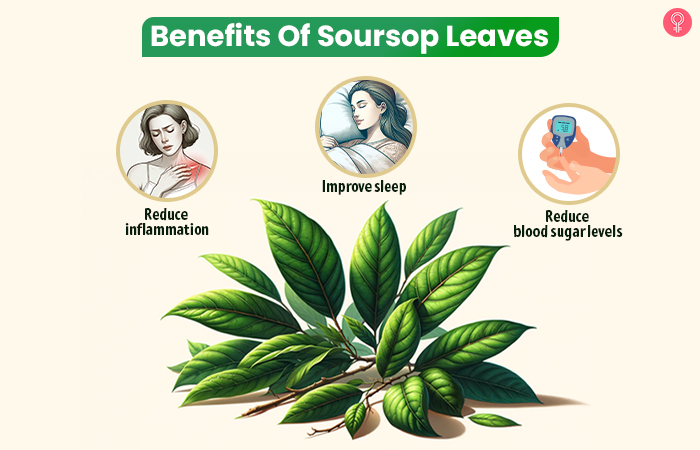Benefits of soursop leaves