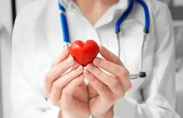 Doctor holding small red heart referring to cardiovascular health