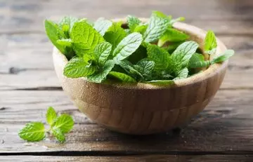 Peppermint leaves benefits