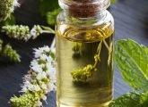 Benefits Of Peppermint Oil For Skin, Hair, Health & How To Use
