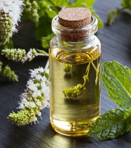 Benefits Of Peppermint Oil For Skin, ...