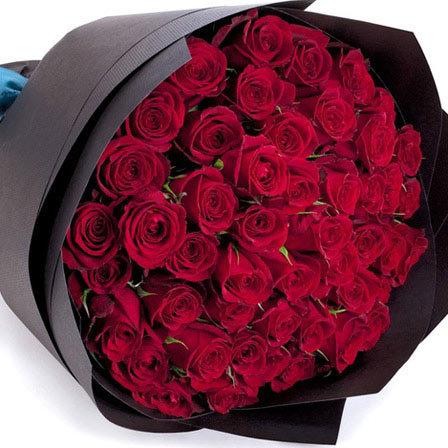 Top 25 Most Beautiful Red Roses