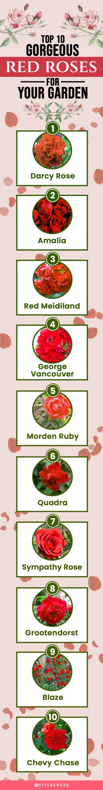 top 10 gorgeous red roses for your garden (infographic)