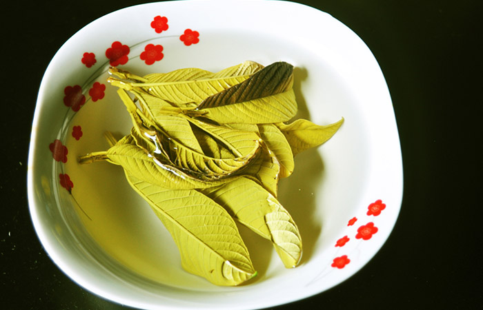 Guava leaves boiled in water