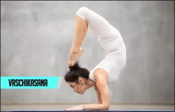 Vrschikasana or the Scorpion Pose is the advanced asana of the best yoga asanas
