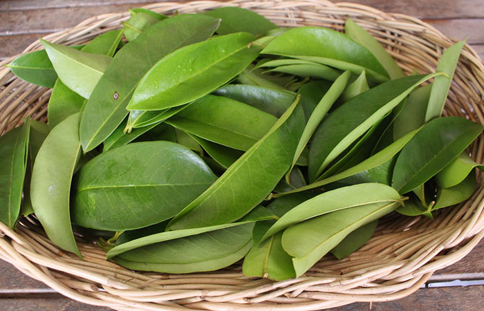 A basket of soursop leaves