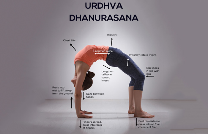 Chakrasana (Wheel Pose): steps, precautions, benefits - Finess Yoga