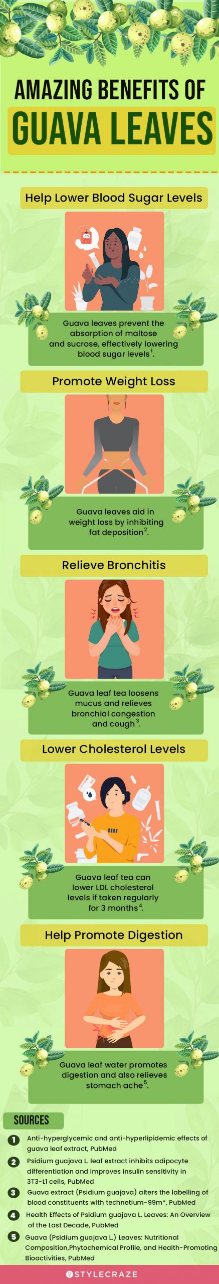 amazing benefits of guava leaves (infographic)