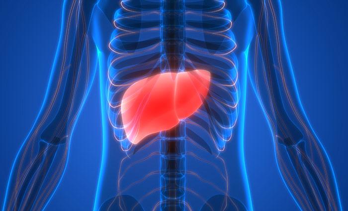 Garlic Side Effects - Might Hurt The Liver Garlic Side Effects
