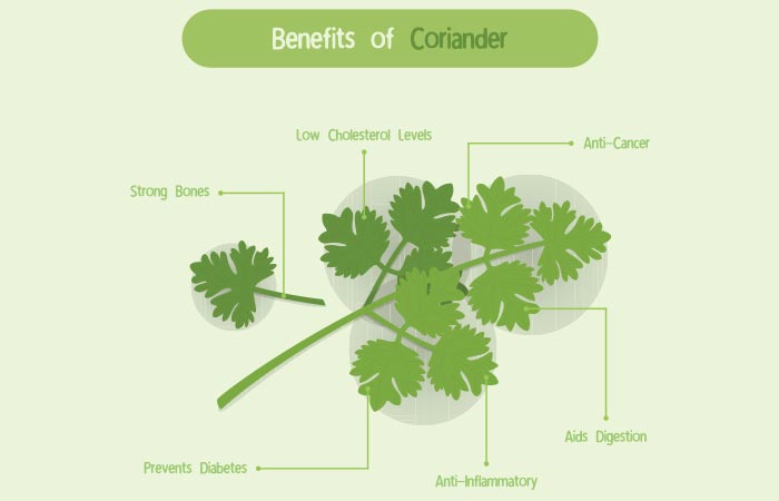 10 Amazing health benefits of cilantro