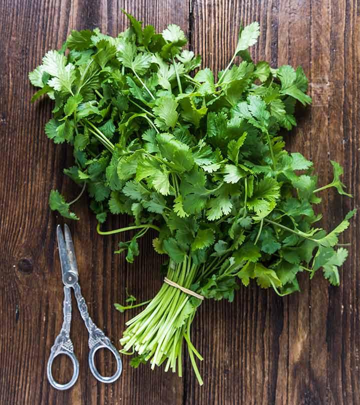 10 Health Benefits Of Cilantro Recipes And Risks