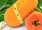 Papaya Diet - How Papaya Aids Weight ...