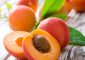 17 Impressive Benefits Of Apricot –...