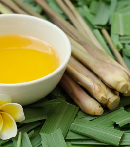 17 Amazing Benefits Of Citronella Oil For Skin, Hair And Health