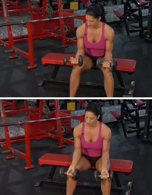 Wrist curl exercise with dumbbells