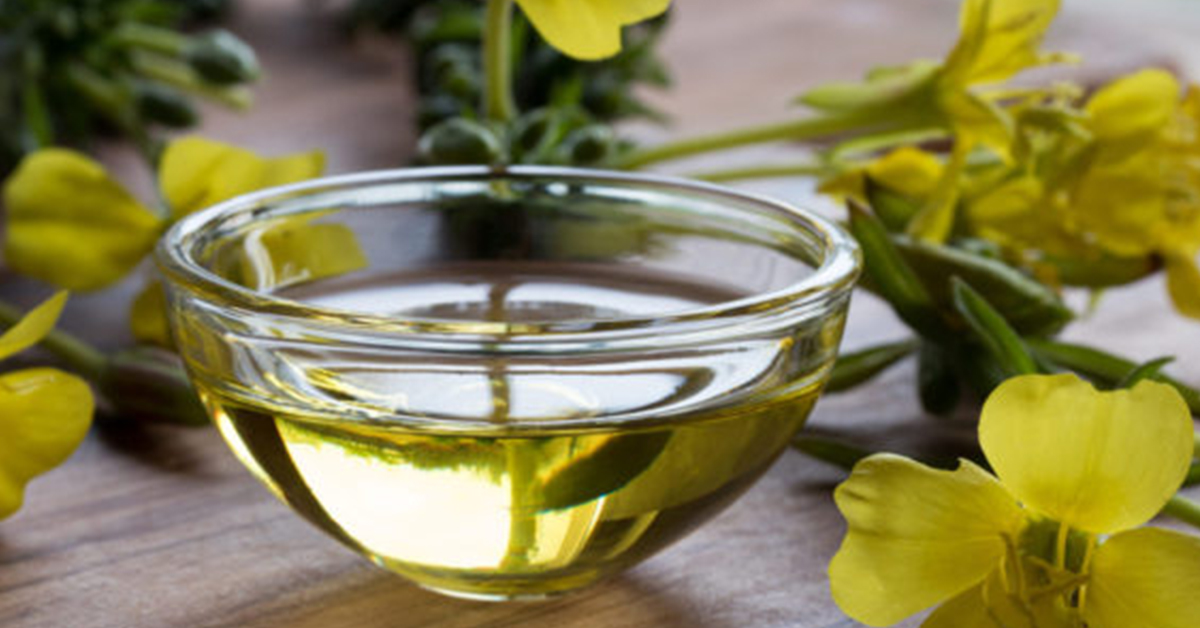Evening Primrose Oil: Fights Acne, Relieves Menopause Symptoms, And More