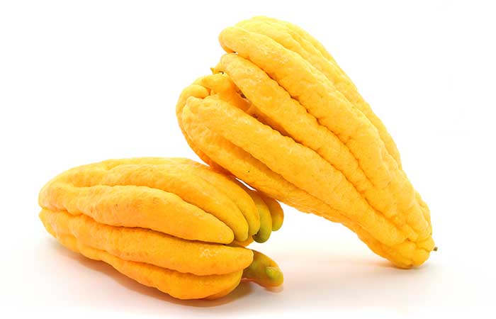 Citrus Fruits - Buddha's Hand