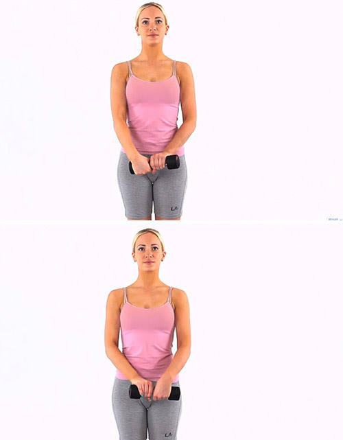 Wrist roller exercise with a dumbbell