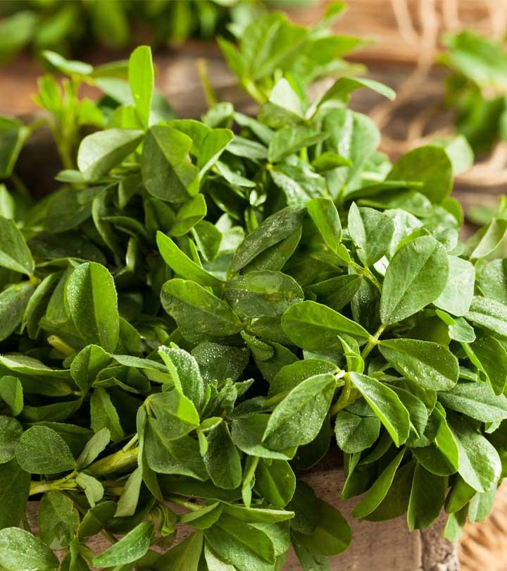 6 Best Benefits Of Fenugreek Leaves For Skin, Hair & Health