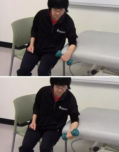 Dumbbell seated supination and pronation