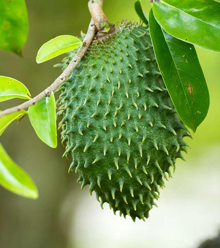 16 Amazing Benefits Of Soursop For Skin Hair Health