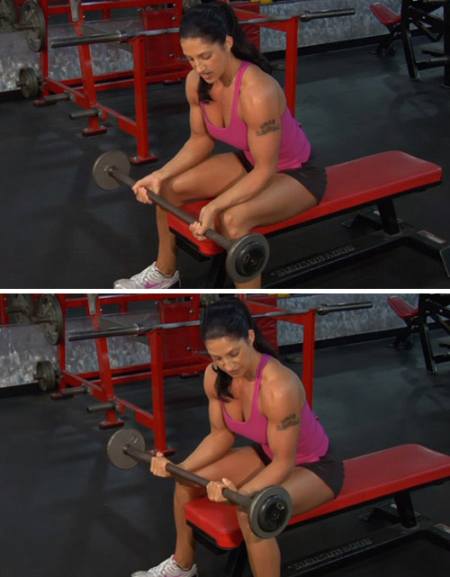 Barbell reverse wrist curl exercise