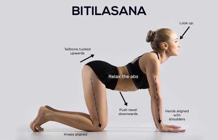 बिटिलासन (yoga for neck pain in hindi)