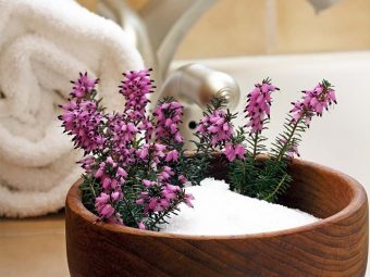 Epsom Salt 7 Mind-blowing Benefits You Should Know Today