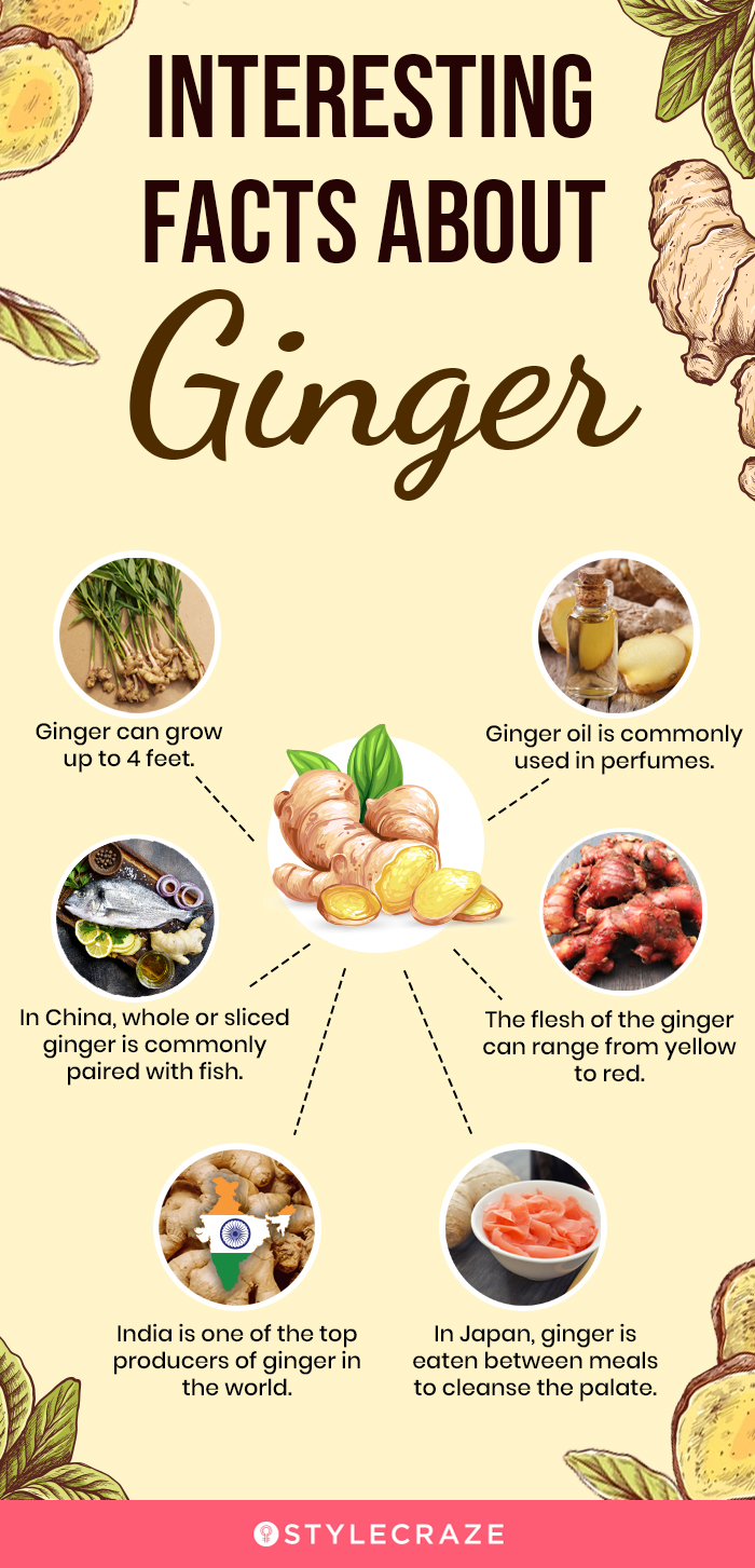 interesting facts about ginger [infographic]