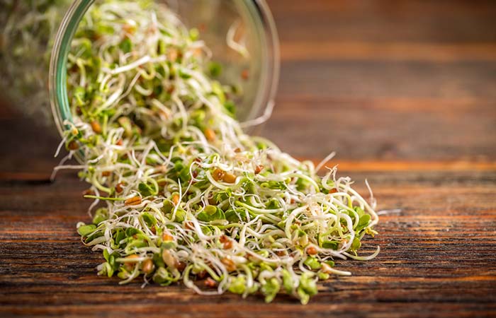 Fresh fenugreek sprouts are rich antioxidants 