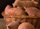 9 Potential Health And Nutrition Benefits Of Eating Yams