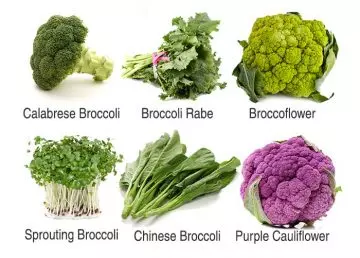 Broccoli varieties