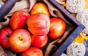 What is the apple diet for weight loss