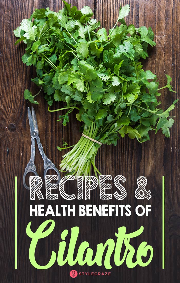 10 Health Benefits Of Cilantro Recipes And Risks