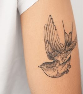 The Best Sparrow Tattoos  Designs with Special Meaning  Tattoo Glee