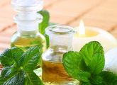 20 Health Benefits Of Peppermint, Nutrition, & Side Effects