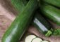 21 Amazing Benefits Of Zucchini For S...