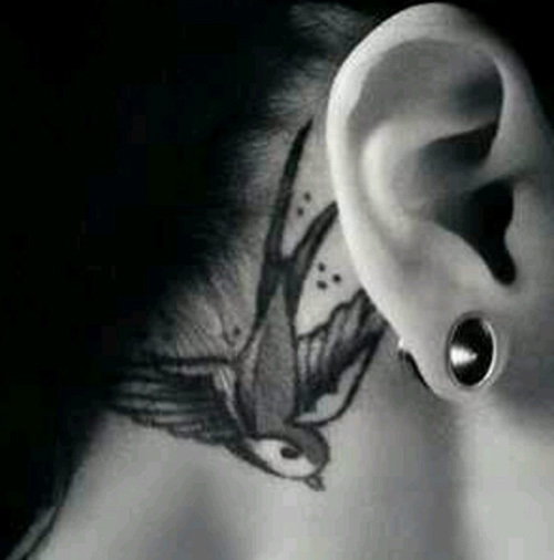 Mambotattoostudio #tattoo #neck #swallow #bird #blackandwhite #fypシ #... |  TikTok