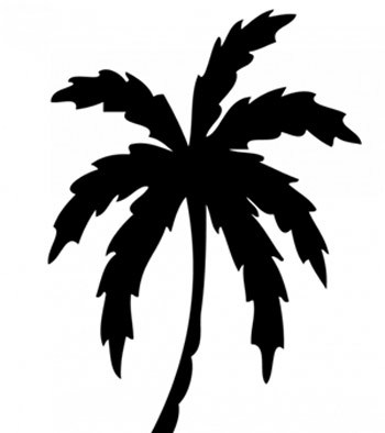 Top 10 Palm Tree Tattoo Designs