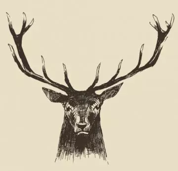 Hand drawn deer head tattoo