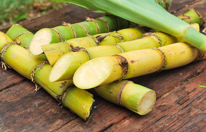 How to select and store sugarcane