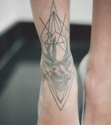 Impressive Deer Tattoo Designs