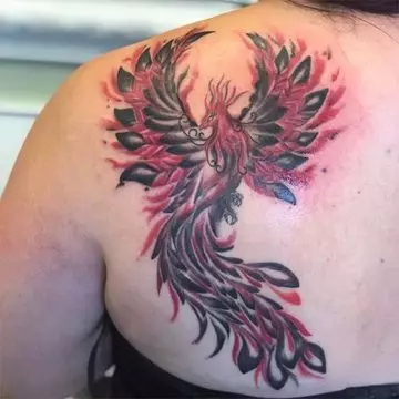 Phoenix in love tattoo design
