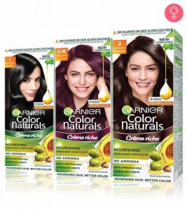 Top 15 Garnier Hair Coloring Products...